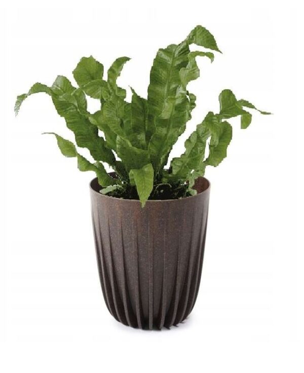 DONICZKA LAMELA OKRĄGŁA MIRA ECO 190 ESPRESSO - obrazek 7