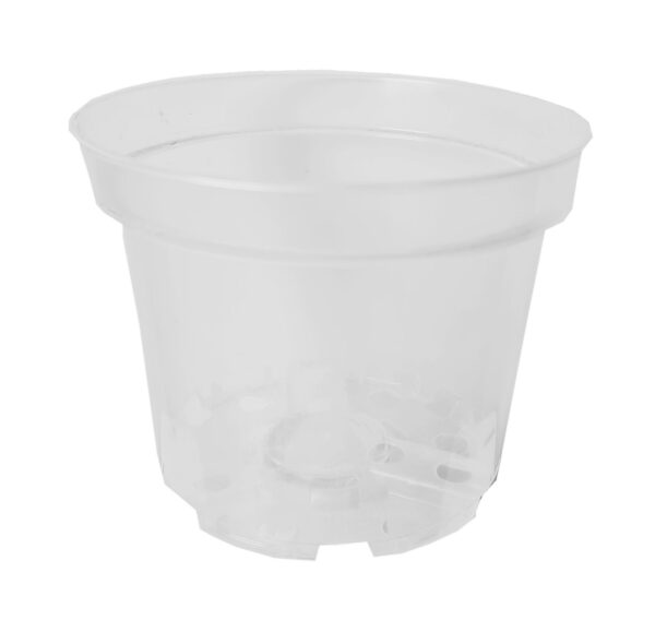 DONICZKA PRODUKCYJNA PRZEZROCZYSTA PLASTIKOWA DO SADZONEK STORCZYKA Ø 21 CM - obrazek 3