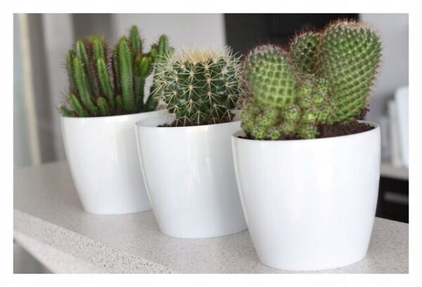 DONICZKA OSŁONKA LAMELA MAGNOLIA 13,5 CM CZARNA - obrazek 3