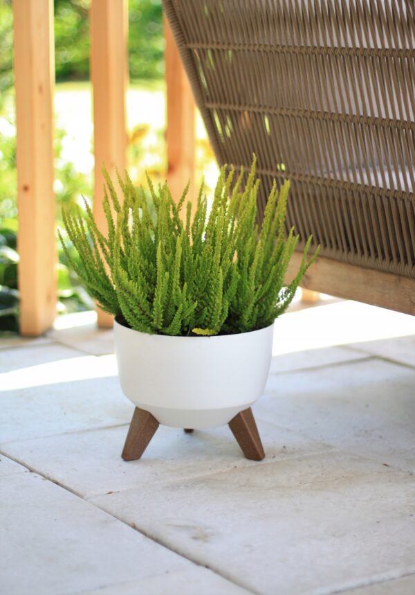 Doniczka Misa Roma na nóżkach Antracyt 24 cm Plastikowa - obrazek 9