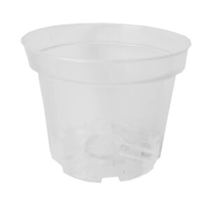 DONICZKA PRODUKCYJNA PRZEZROCZYSTA PLASTIKOWA DO SADZONEK STORCZYKA Ø 21 CM