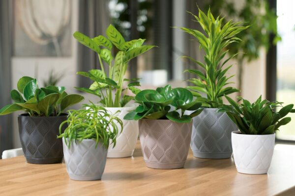 DONICZKA Z PODSTAWKĄ FLOW PETIT 15 CM BIAŁA - obrazek 8