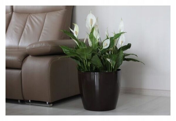 DONICZKA OSŁONKA LAMELA MAGNOLIA 12 CM CZARNA - obrazek 3